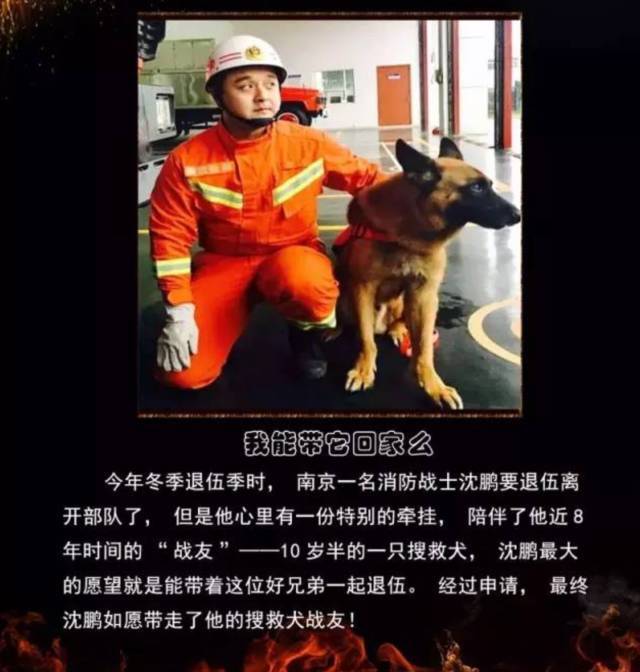 浴火重生的逆行者，肌肉越大責(zé)任越大，這才是真漢子——中國消防員(圖23)