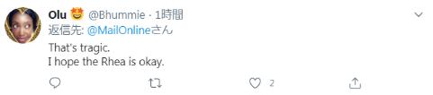 剛確診新冠一星期，巴西總統(tǒng)喂鴕鳥時(shí)又被咬了，網(wǎng)友卻希望“鳥沒事”(圖5)