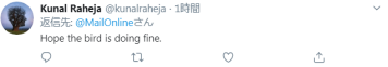 剛確診新冠一星期，巴西總統(tǒng)喂鴕鳥時(shí)又被咬了，網(wǎng)友卻希望“鳥沒事”(圖4)