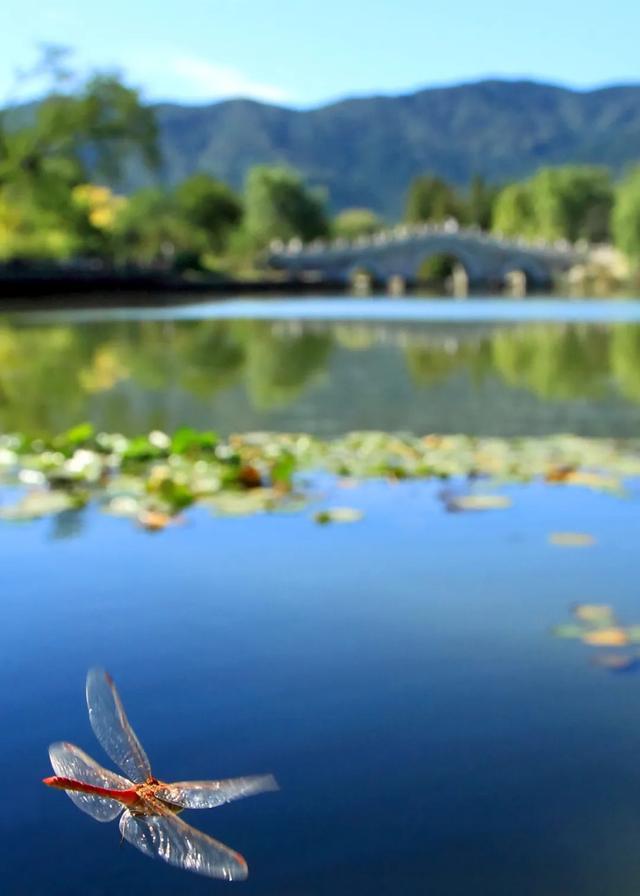 今日大暑丨迎風(fēng)沐雨，憧憬未來(圖5)
