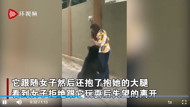 屢犯不改？墨西哥一只曾嗅女游客的黑熊又抱女子大腿 游客鎮(zhèn)定自拍(圖1)