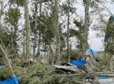 綏化突遭龍卷風(fēng)襲擊，房蓋在天上飛！村民：我70歲沒見過這事(圖6)