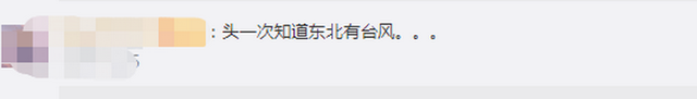 臺(tái)風(fēng)“美莎克”致吉林玉米大面積倒伏，像棉被一樣鋪在地上，減產(chǎn)已成定局(圖2)