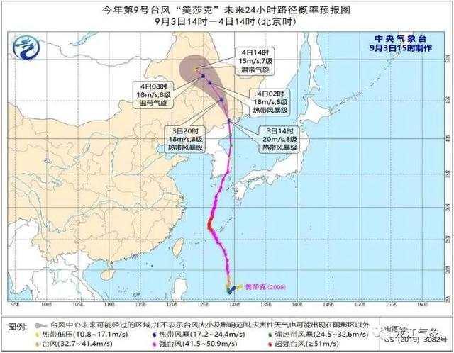 臺(tái)風(fēng)“美莎克”致吉林玉米大面積倒伏，像棉被一樣鋪在地上，減產(chǎn)已成定局(圖8)