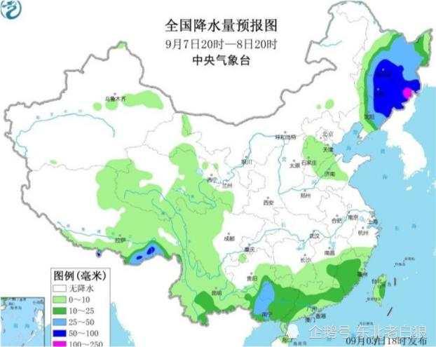 臺(tái)風(fēng)“美莎克”致吉林玉米大面積倒伏，像棉被一樣鋪在地上，減產(chǎn)已成定局(圖10)