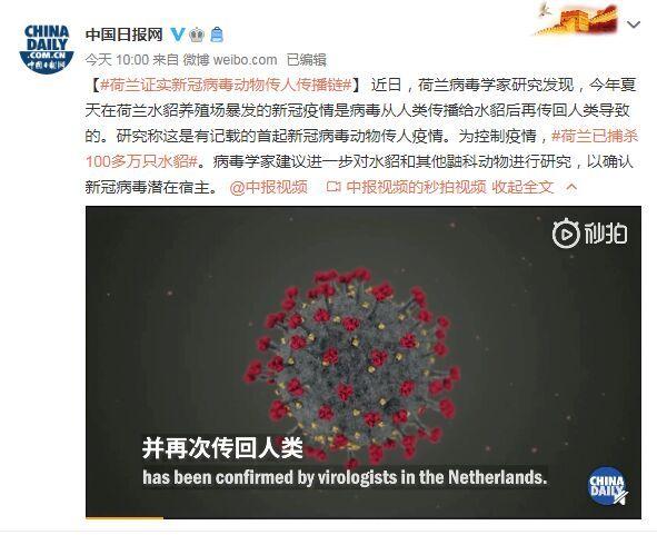 首起！荷蘭證實新冠病毒動物傳人疫情鏈條：病毒從人類傳播給水貂后再傳回人類