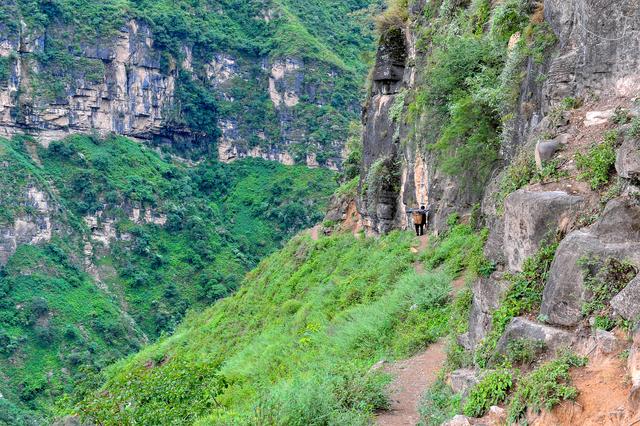 四川批準(zhǔn)涼山7縣摘帽脫貧！全省88個(gè)貧困縣全部清零